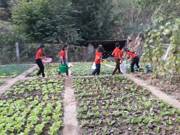 Ngoài giờ học, học sinh được thầy cô hướng dẫn cách trồng và chăm sóc rau xanh (Ảnh nhà trường cung cấp)