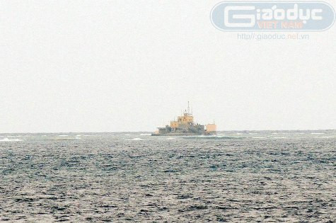 Đảo Đá Nam vươn mình phát triển nơi đầu sóng, ngọn gió. Đảo Đá Nam vươn mình phát triển nơi đầu sóng, ngọn gió.