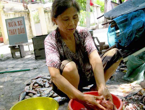 Làm cá ngay bên bờ sông Làm cá ngay bên bờ sông