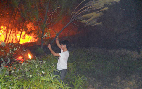 5 vụ cháy rừng liên tiếp, nghi bị đốt, Tin tức trong ngày, 