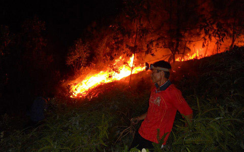5 vụ cháy rừng liên tiếp, nghi bị đốt, Tin tức trong ngày, 