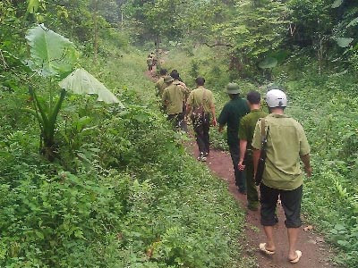Lợi nhuận ngang ma tuý, "máu" rừng vẫn chảy ảnh 1 Lợi nhuận ngang ma tuý, "máu" rừng vẫn chảy, Tin tức trong ngày, go lau, lam tac, kiem lam, ma tuy, go nghien, go quy, bao, tin tuc, tin hot, tin hay