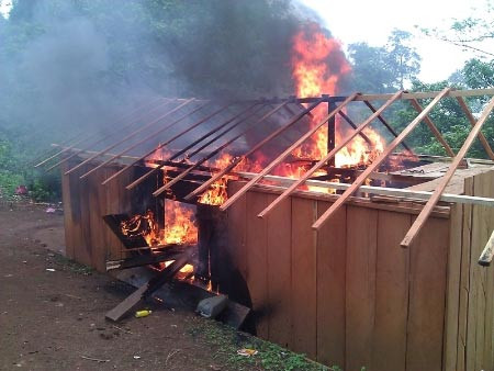 Lợi nhuận ngang ma tuý, "máu" rừng vẫn chảy ảnh 2 Lợi nhuận ngang ma tuý, "máu" rừng vẫn chảy, Tin tức trong ngày, go lau, lam tac, kiem lam, ma tuy, go nghien, go quy, bao, tin tuc, tin hot, tin hay