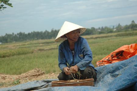 Xã có 500 cán bộ: Bộ Nội vụ vào cuộc, Tin tức trong ngày, xa co 500 can bo, can bo thanh hoa, bo noi vu, dan ngheo, nop thue, xa quang vinh quang xuong, bao, tin tuc, tin hot, tin hay