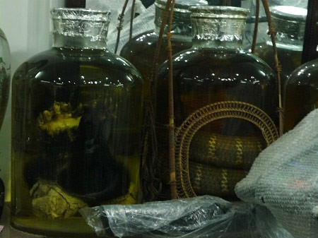 Cự phú và ký ức đêm săn rắn hổ chúa, Tin tức trong ngày, ran ho chua, ho mang chua, ran ho mang, ruou ran, ngam ruou ran, ngam ruou, ruou thuoc, ruou bo, thap toan dai bo, ruou bo duong, bao, tin hay, tin hot, tin tuc