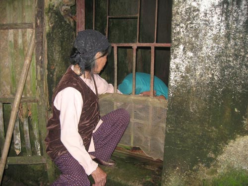 Mẹ nhốt con vào chuồng lợn ảnh 2 Mẹ nhốt con vào chuồng lợn, Tin tức trong ngày, nhot con trong chuong lon, nhot con, con tam than, nguoi dien, me nhot con, bao, tin tuc, tin hot, tin hay