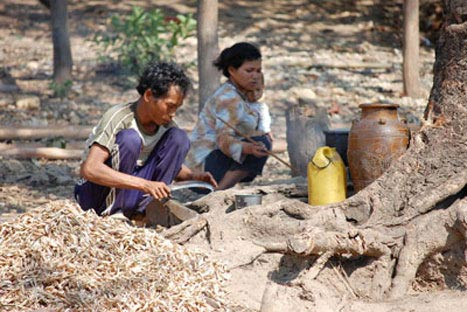 Làng thích sinh con gái ảnh 1 Làng thích sinh con gái, Tin tức trong ngày, lang thich sinh con gai, lang sinh con gai, che do mau he, dong con, nguoi Raglai, nguoi dan toc, bao, tin tuc, tin hot, tin hay