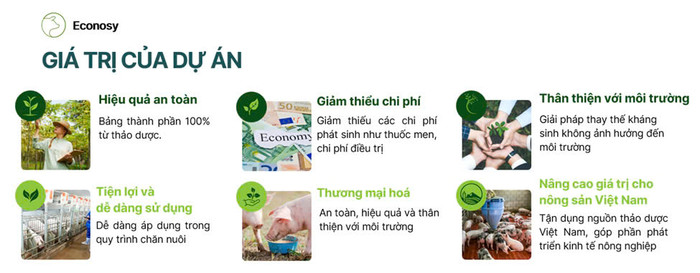 Dự án hướng tới trong tương lai phát triển chăn nuôi không kháng sinh. (Ảnh NVCC) z6189646886370_242da97c7b0b711bbe195121d450654e.jpg