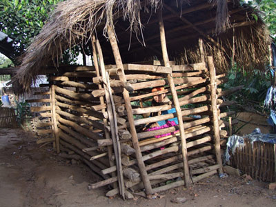 Một cô gái bị nhốt trong cũi suốt 3 năm ảnh 1 Một cô gái bị nhốt trong cũi suốt 3 năm