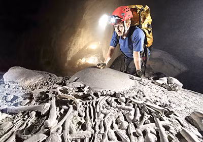 Bộ xương hóa thạch được cho là cốt xương hổ còn nguyên.