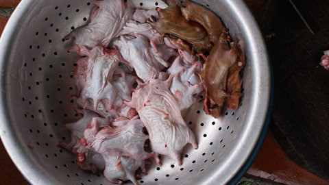 Đã mổ bụng, moi bỏ nội tạng và rửa sạch để chuẩn bị tẩm ướp. Đã mổ bụng, moi bỏ nội tạng và rửa sạch để chuẩn bị tẩm ướp.