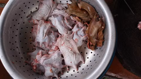 Đã mổ bụng, moi bỏ nội tạng và rửa sạch để chuẩn bị tẩm ướp.