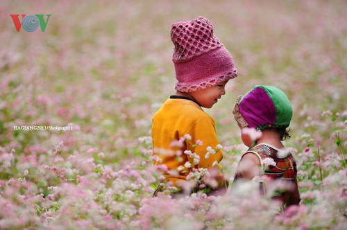 Hai đứa trẻ trên cánh đồng tam giác mạch tại Hà Giang.