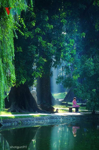 Sự bình yên trong công viên Bách Thảo.