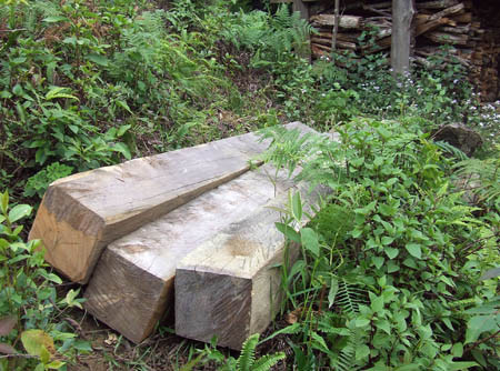 Gỗ pơ mu được khai thác ở Khu bảo tồn Mù Cang Chải. Gỗ pơ mu được khai thác ở Khu bảo tồn Mù Cang Chải.