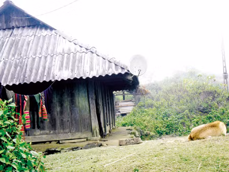 Ghen tuông, chồng nã đạn vào mặt vợ ảnh 1