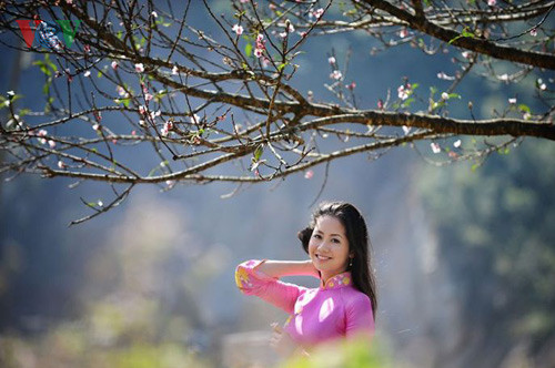 Mộc Châu những ngày cuối năm 2011.