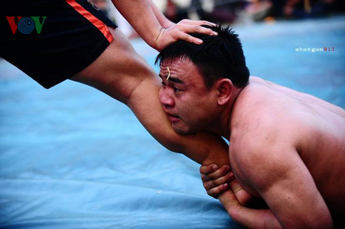 Tại sới vật Cổ Loa