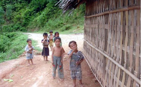 Bi kịch từ tục “ngủ thăm” biến tướng, Tin tức trong ngày, ngu tham, nguoi dao, hu tuc, tao hon, lay chong, cay cua, tin tuc, tin hot, tin hay