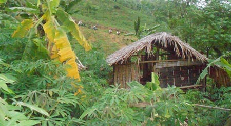 Hành vi khó dung của gã trai tuổi 17, An ninh Xã hội, hiep dam, sat hai nan nhan, giet nguoi, trong an, an mang, bao