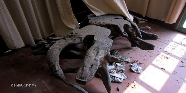 Cận cảnh “ngôi nhà ma” ở Hòa Bình ảnh 7