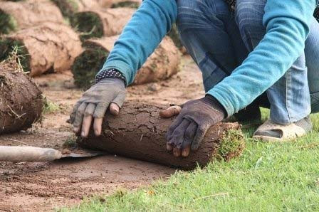 Nghề đặc biệt bên sông Hồng ảnh 6 Nghề đặc biệt bên sông Hồng, Tin tức trong ngày, nghe trong co, trong co nhung, bai boi song hong, nong dan, nghe dac biet, bao, tin tuc, tin hot, tin hay