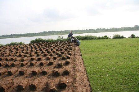 Nghề đặc biệt bên sông Hồng ảnh 2 Nghề đặc biệt bên sông Hồng, Tin tức trong ngày, nghe trong co, trong co nhung, bai boi song hong, nong dan, nghe dac biet, bao, tin tuc, tin hot, tin hay