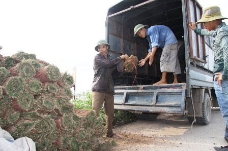 Nghề đặc biệt bên sông Hồng ảnh 11 Nghề đặc biệt bên sông Hồng, Tin tức trong ngày, nghe trong co, trong co nhung, bai boi song hong, nong dan, nghe dac biet, bao, tin tuc, tin hot, tin hay