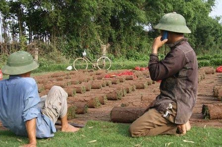 Nghề đặc biệt bên sông Hồng ảnh 9 Nghề đặc biệt bên sông Hồng, Tin tức trong ngày, nghe trong co, trong co nhung, bai boi song hong, nong dan, nghe dac biet, bao, tin tuc, tin hot, tin hay