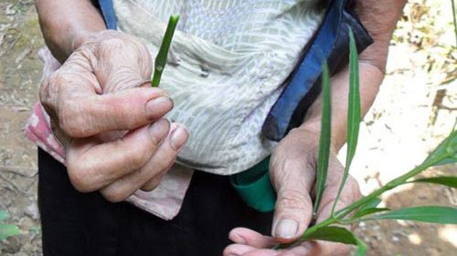 Ghê rợn phá thai bằng... nan hoa xe máy ảnh 1 Ghê rợn phá thai bằng... nan hoa xe máy, Tin tức trong ngày, pha thai, nao hut thai, say thai, mang thai, mang thai ngoai y muon, vo ke hoach, sinh con, mang bau, thai phu, bao, tin hay, tin hot, tin tuc