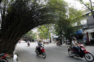 Hình ảnh này trở nên quen thuộc với nhiều người thường xuyên qua lại phố Phan Bội Châu.