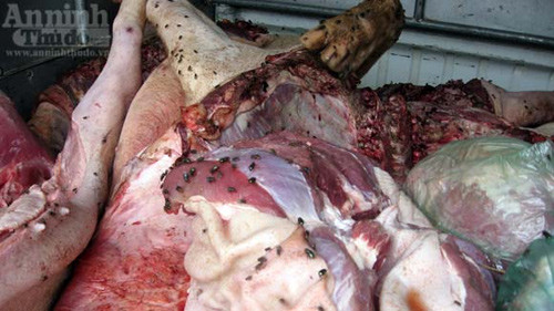 “Hô biến” lợn tai xanh chết thành ruốc ảnh 2 “Hô biến” lợn tai xanh chết thành ruốc, Tin tức trong ngày, lon chet, lon chet dich, dich tai xanh, ruoc, lon tai xanh, bao, tin tuc, tin hot, tin hay