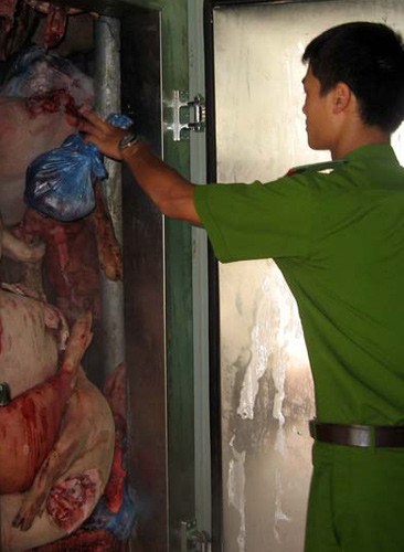 “Hô biến” lợn tai xanh chết thành ruốc ảnh 4 “Hô biến” lợn tai xanh chết thành ruốc, Tin tức trong ngày, lon chet, lon chet dich, dich tai xanh, ruoc, lon tai xanh, bao, tin tuc, tin hot, tin hay