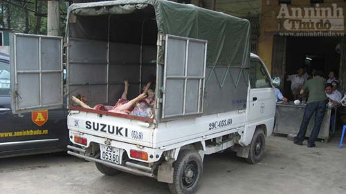 “Hô biến” lợn tai xanh chết thành ruốc ảnh 1 “Hô biến” lợn tai xanh chết thành ruốc, Tin tức trong ngày, lon chet, lon chet dich, dich tai xanh, ruoc, lon tai xanh, bao, tin tuc, tin hot, tin hay