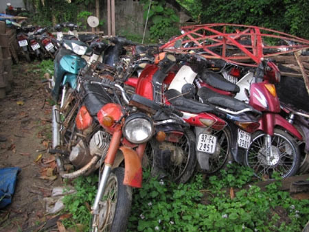 Chiêu hợp thức hóa gỗ lậu của "ông trùm", Tin tức trong ngày, go nghien, pha rung, thot nghien, go sua, go lim, ha nghien, lam tac, vuon quoc gia ba be, go quy, bao, tin tuc, tin hot, tin hay