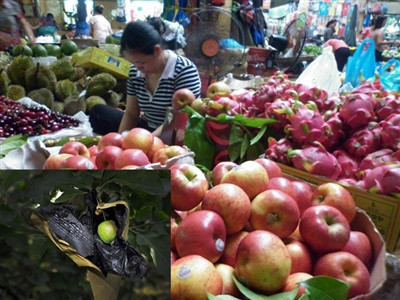 Táo độc TQ: Cơ quan chức năng vào cuộc, Tin tức trong ngày, tao trung quoc, tao tau, tao boc thuoc sau, giay tam thuoc sau, thit thoi trung quoc, ngo doc thuc pham, tao boc thuoc sau, an toan ve sinh thuc pham, thuoc sau, bao, tin hay, tin hot, tin tuc