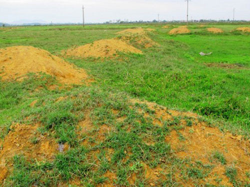 Nguyên Bí thư và Chủ tịch TP.Vĩnh Yên bị đề nghị mức án 7-9 năm tù ảnh 2 tham nhũng đất ở vĩnh phúc2