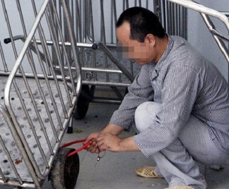 Đại gia phát “điên” vì xài hoang, Tin tức trong ngày, benh nhan tam than, dai gia, tam than, roi loan tam than, nguoi dien, benh vien tam than, roi loan tam than, tram cam, bao, tin tuc, tin hot, tin hay