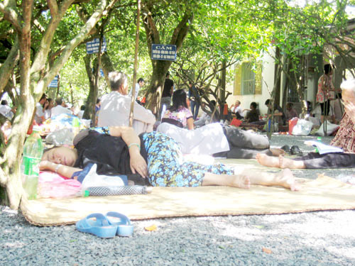 13 người chết ở “khu vườn kỳ lạ” ảnh 1