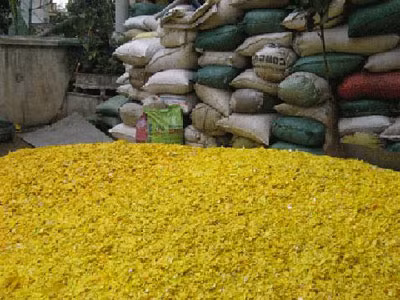 Rồi ra những hạt nhựa mang đi làm đồ nhựa, túi nilon...