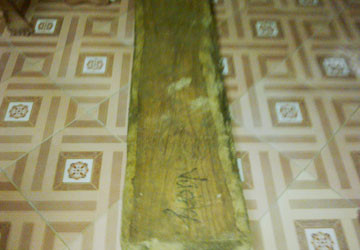 Rợn người nạn cướp gỗ sưa, Tin tức trong ngày, go sua nghin ty, go sua, giang ho, go sua, quang binh, lam tac, kiem lam, pha rung, phong nha ke bang, bao, tin tuc, tin hot, tin hay