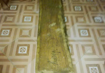 Rợn người nạn cướp gỗ sưa, Tin tức trong ngày, go sua nghin ty, go sua, giang ho, go sua, quang binh, lam tac, kiem lam, pha rung, phong nha ke bang, bao, tin tuc, tin hot, tin hay