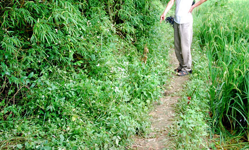 Nghi án nữ chánh án ở Hà Nam bị sát hại ảnh 1 Nghi án nữ chánh án ở Hà Nam bị sát hại ảnh 1