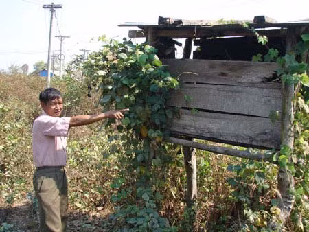 Bí ẩn hòn đá biết "đẻ" ở Kon Tum, Tin tức trong ngày, hon da ky la, hon da biet de, ky bi, hon da than ky, bi an tu nhien, thien nhien ky bi, nhung dieu bi an cua tu nhien, bi an, bao, tin hay, tin hot, tin tuc