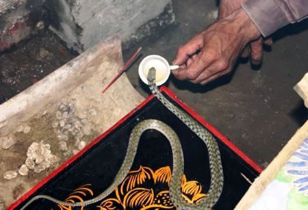 Đổ xô đi xem “xà linh” và góp tiền xây đền thờ “ngài”