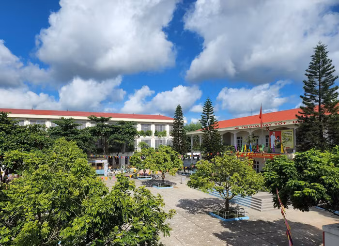 Khuôn viên Trường Tiểu học Phương Đông B xanh - sạch - đẹp chào đón năm học mới (Ảnh: Phạm Linh)
