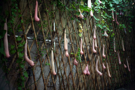 Nếu chỉ có vậy thì cũng chẳng có gì đáng nói. Điều kỳ lạ là ở chỗ, quả của giàn mướp kể trên dù cũng thuôn dài, nhưng lại không xanh tươi như những quả mướp bình thường khác. Sự thật là, chúng có màu hồng hào và… gợi cảm không khác gì gò bồng đảo của phụ nữ. Nếu chỉ có vậy thì cũng chẳng có gì đáng nói. Điều kỳ lạ là ở chỗ, quả của giàn mướp kể trên dù cũng thuôn dài, nhưng lại không xanh tươi như những quả mướp bình thường khác. Sự thật là, chúng có màu hồng hào và… gợi cảm không khác gì gò bồng đảo của phụ nữ.