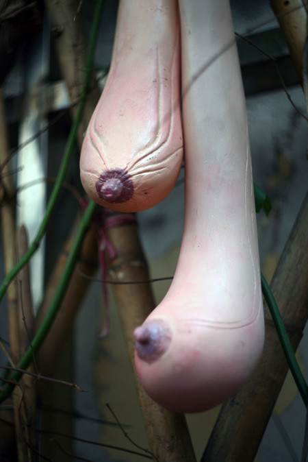 Chủ nhân của nó là Nguyễn Thị Hoài Thơ, một nữ nghệ sĩ người gốc Hà Tĩnh, sinh năm 1983. Những “quả mướp” của chị được làm bằng chất liệu silicon và composit. Với sự “nhân hóa” những quả mướp, loại quả rất gần gũi với đời sống người Việt, nữ nghệ sĩ mong muốn truyền tải thông điệp về “nữ tính” và “nữ quyền” dưới một góc nhìn mang tính cởi mở hơn trong thế giới hiện đại. Chủ nhân của nó là Nguyễn Thị Hoài Thơ, một nữ nghệ sĩ người gốc Hà Tĩnh, sinh năm 1983. Những “quả mướp” của chị được làm bằng chất liệu silicon và composit. Với sự “nhân hóa” những quả mướp, loại quả rất gần gũi với đời sống người Việt, nữ nghệ sĩ mong muốn truyền tải thông điệp về “nữ tính” và “nữ quyền” dưới một góc nhìn mang tính cởi mở hơn trong thế giới hiện đại.