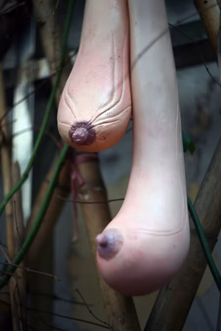 Chủ nhân của nó là Nguyễn Thị Hoài Thơ, một nữ nghệ sĩ người gốc Hà Tĩnh, sinh năm 1983. Những “quả mướp” của chị được làm bằng chất liệu silicon và composit. Với sự “nhân hóa” những quả mướp, loại quả rất gần gũi với đời sống người Việt, nữ nghệ sĩ mong muốn truyền tải thông điệp về “nữ tính” và “nữ quyền” dưới một góc nhìn mang tính cởi mở hơn trong thế giới hiện đại.