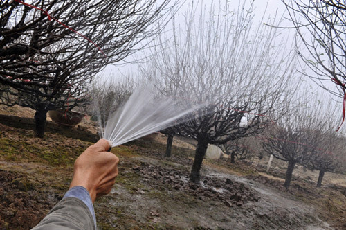 Công việc thường ngày của những gia đình ở Nhật Tân Công việc thường ngày của những gia đình ở Nhật Tân